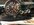 IMG_6155.jpeg