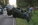 2010-04-17_theend 002.JPG