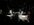 IMG_8110.jpeg