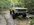 IMG_7823.jpeg