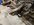 IMG_3653.jpeg