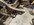 IMG_3652.jpeg