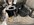 IMG_3654.jpeg