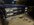 IMG_4538.jpeg