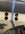 IMG_0799.jpeg