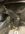IMG_0804.jpeg