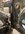 IMG_0805.jpeg