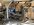 IMG_9050.jpeg