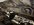 IMG_3689.jpeg