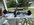 IMG_7768.jpeg