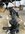 IMG_7814.jpeg