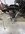 IMG_7946.jpeg