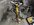 IMG_3083.jpeg