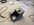 IMG_6041.jpeg
