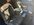 IMG_6050.jpeg
