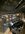 IMG_0831.jpeg