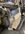 IMG_0829.jpeg