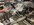 IMG_3748.jpeg