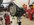 IMG_3793.jpeg