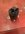 IMG_9279.jpeg