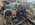 IMG_7579.jpeg
