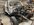 IMG_3844.jpeg
