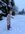 IMG_6225.jpeg