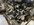 IMG_3911.jpeg