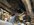 IMG_3913.jpeg