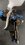 IMG_20251126_092847742~2.jpg