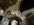 IMG_3956.jpeg