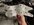 IMG_3965.jpeg