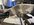 IMG_3966.jpeg
