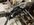 IMG_3969.jpeg