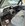 IMG_2173.jpeg