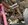IMG_2254.jpeg