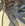 IMG_2362.jpeg
