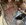 IMG_2363.jpeg