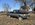 IMG_4657.jpeg