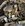 IMG_5226.jpeg