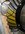 IMG_2001.jpeg