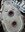 IMG_5612.jpeg