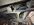 IMG_5830.jpeg