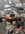 IMG_0857.jpeg