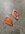 IMG_8034.jpeg