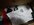Resized_20251207_144328.jpeg