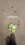 IMG_20251210_172415059_MP~2.jpg