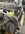 IMG_0887.jpeg