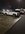IMG_7975.jpeg