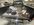 IMG_8330.jpeg